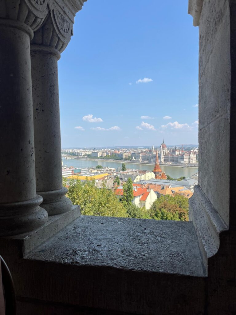 Immagine WhatsApp 2025-09-01 ore 15.24.12_6f86987b